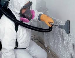 Biohazard Mold Removal